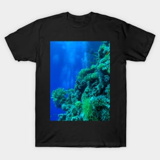 Coral reef T-Shirt